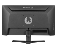 IIYAMA G-Master G2441HSU-B1 Black Hawk - 1370362 - zdjęcie 6